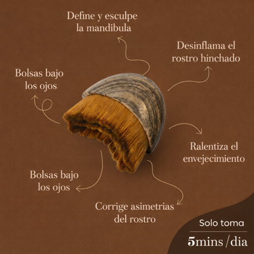 Cepillo Lynfatic Sculpt Brush™